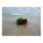 COCONUT ON THE BEACH (8) Poster