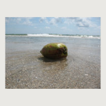 COCONUT ON THE BEACH (8) Poster posters