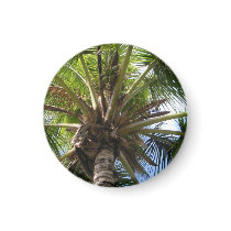 Coconut Palm Magnet by loveinvented Coconut Palm Magnet