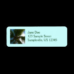 Coconut Palm Return Address Label