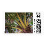 Coconut Palm Tree Hawaii Custom Stamps stamp