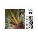 Coconut Palm Tree Hawaii Custom Stamps stamp