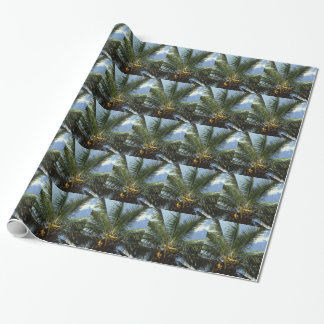 Coconut tree essay