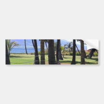 Coconut Palms Nui Hawaii Bumper Stickers