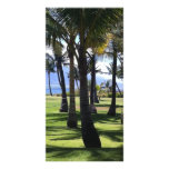 Coconut Palms Nui Hawaii Personalized Photo Card