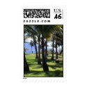 Coconut Palms Nui Hawaii postage