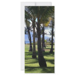 Coconut Palms Nui Hawaii rack cards