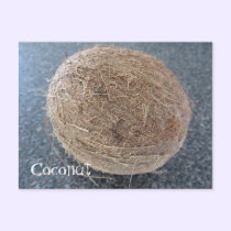 Coconut postcards