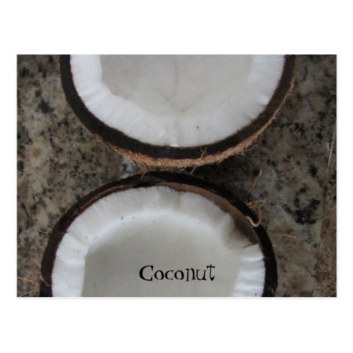 Coconut Postcard | Zazzle