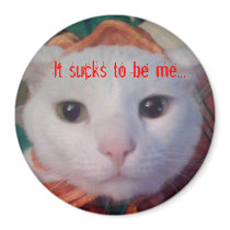 Coconut the Cat Magnet