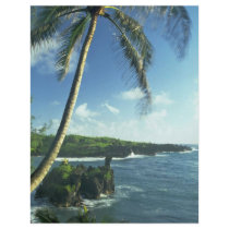 Coconut Tree Alone Among Smaller Plants Flyer