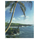Coconut Tree Alone Among Smaller Plants Flyer
