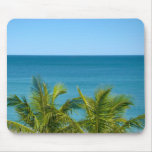 coconut tree and ocean coconut tree and ocean