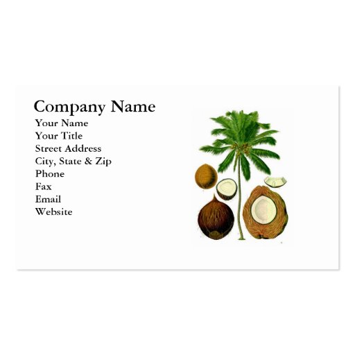 Coconut Tree Botanical Illustration Business Card