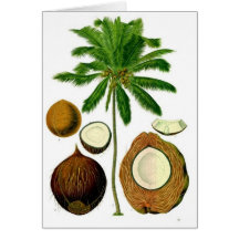 Coconut Tree Botanical Illustration Greeting Cards
