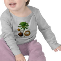 Coconut Tree Botanical Illustration Shirt