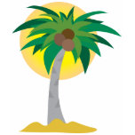 Coconut Tree t-shirts