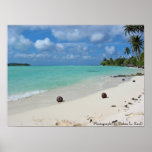 Coconuts on the Beach Poster