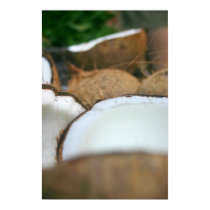 Coconuts posters by robbekker Coconuts posters