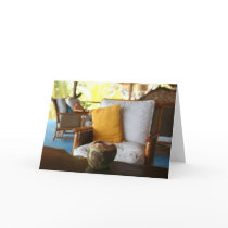 cocunut in lamu cards by iluvsrk cocunut in lamu cards