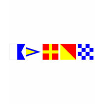 Code Flag Aaron Tshirts