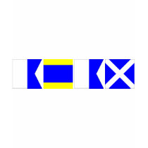 Code Flag Adam Tshirts