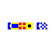 Code Flag Adrian T-shirt
