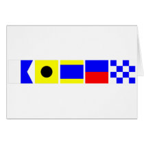 Code Flag Aiden cards