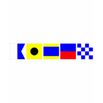 Code Flag Aiden T Shirts