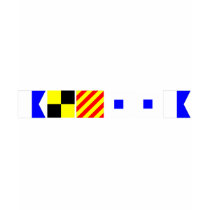 Code Flag Alyssa T Shirt