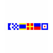 Code Flag Andrew T Shirts