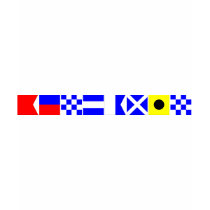Code Flag Benjamin Tee Shirts