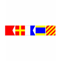 Code Flag Brady T-shirts
