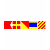 Code Flag Brody T Shirt