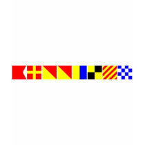 Code Flag Brooklyn Tee Shirts