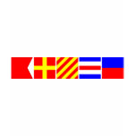 Code Flag Bryce t-shirts