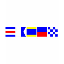 Code Flag Caden T Shirts