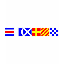 Code Flag Camryn T Shirts