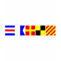 Code Flag Carly T Shirts