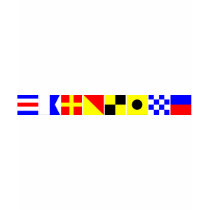 Code Flag Caroline T-shirts