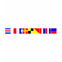 Code Flag Charlotte Tshirts