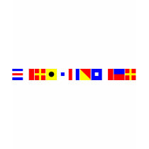 Code Flag Christopher T-shirt