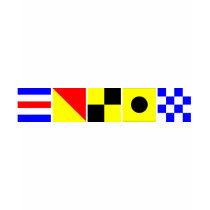 Code Flag Colin T-shirts