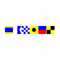 Code Flag Daniel T Shirt