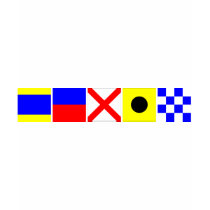 Code Flag Devin Tees