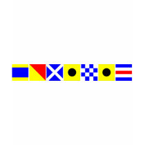 Code Flag Dominic T-shirt