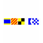 Code Flag Dylan t-shirts