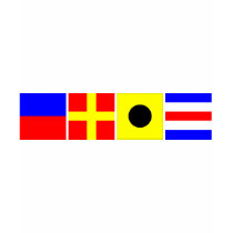 Code Flag Eric T Shirt