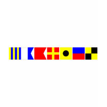Code Flag Gabriel T-shirt