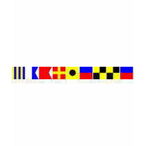 Code Flag Gabrielle Tees